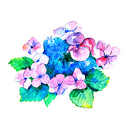 位圖 植物 寫意花卉 花朵 免費(fèi)素材