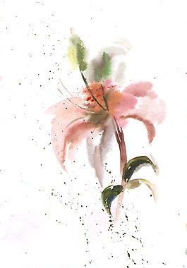 位圖 植物 寫(xiě)意花卉 花朵 百合 免費(fèi)素材