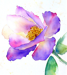 位圖 植物 寫意花卉 花朵 芍藥 免費素材