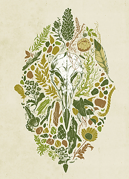 位圖 插畫 植物插畫 插畫師 Teagan 免費素材