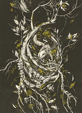 位圖 插畫 植物插畫 插畫師 Teagan 免費素材