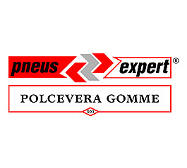 Pneus_Expert logo設計欣賞 Pneus_Expert名車logo欣賞下載標志設計欣賞