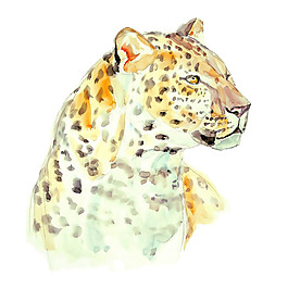 位圖 插畫 時尚插畫 動物插畫 藝術(shù)效果 免費素材
