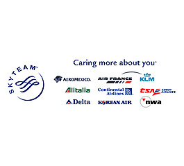 SkyTeam(1) logo設(shè)計(jì)欣賞 SkyTeam(1)航空標(biāo)志下載標(biāo)志設(shè)計(jì)欣賞