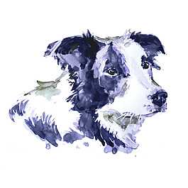 位圖 插畫 時尚插畫 動物插畫 藝術(shù)效果 免費素材