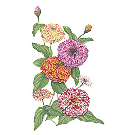 位圖 植物 寫意花卉 花朵 免費(fèi)素材