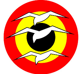 Belgian_Cadets logo設(shè)計欣賞 Belgian_Cadets民航公司LOGO下載標志設(shè)計欣賞