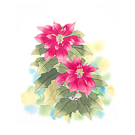 位圖 寫意花卉 藝術效果 水彩 花卉 免費素材