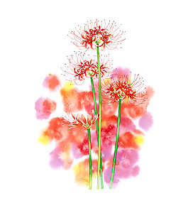 位圖 寫意花卉 藝術效果 水彩 花卉 免費素材