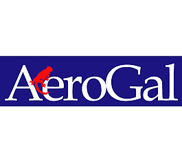 AerGal logo设计欣赏 AerGal航空公司标志下载标志设计欣赏