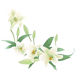 印花矢量圖 寫實(shí)花卉 花朵 百合 免費(fèi)素材