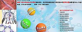 科学医学展板图片