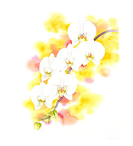 位图 插画 插画师 茨木祥之 日本 免费素材