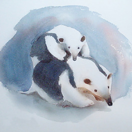 位圖 插畫 插畫師 鳥先森 中國(guó) 免費(fèi)素材