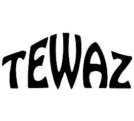 Tewaz logo設(shè)計(jì)欣賞 Tewaz下載標(biāo)志設(shè)計(jì)欣賞