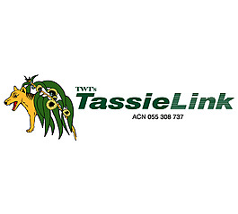 TassieLink logo设计欣赏 TassieLink下载标志设计欣赏