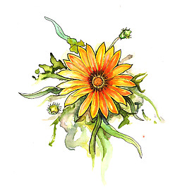 位圖 植物 寫意花卉 花朵 菊花 免費素材