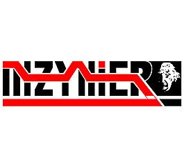 Inzynier logo設(shè)計(jì)欣賞 Inzynier下載標(biāo)志設(shè)計(jì)欣賞