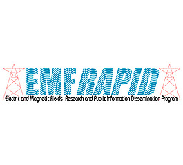 EMF Rapid logo設(shè)計欣賞 電腦相關(guān)行業(yè)LOGO標(biāo)志 - EMF Rapid下載標(biāo)志設(shè)計欣賞