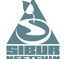 SiburNeftehim logo設(shè)計(jì)欣賞 軟件和硬件公司標(biāo)志 - SiburNeftehim下載標(biāo)志設(shè)計(jì)欣賞