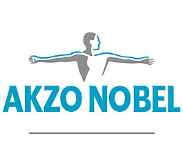 Akzo Nobel logo設(shè)計欣賞 軟件和硬件公司標(biāo)志 - Akzo Nobel下載標(biāo)志設(shè)計欣賞