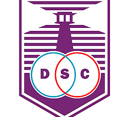 Defensor SC logo設計欣賞 足球和IT公司標志 - Defensor SC下載標志設計欣賞