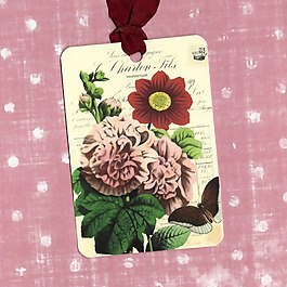 吊牌 植物 花卉 花朵 免費(fèi)素材