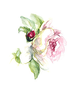 位圖 植物 寫意花卉 花朵 免費(fèi)素材
