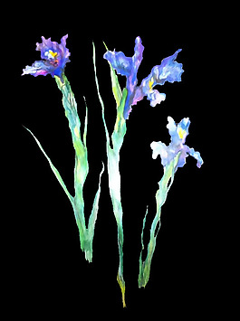 位圖 植物 寫(xiě)意花卉 花朵 免費(fèi)素材