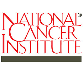 NCI logo設(shè)計(jì)欣賞 IT公司標(biāo)志案例 - NCI下載標(biāo)志設(shè)計(jì)欣賞