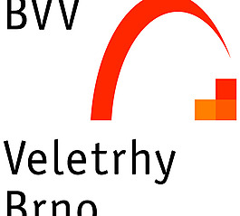 BVV logo設計欣賞 IT公司LOGO標志 - BVV下載標志設計欣賞