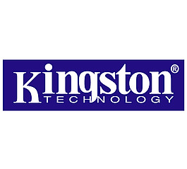 Kingston Technology logo設(shè)計(jì)欣賞 國(guó)外知名公司標(biāo)志范例 - Kingston Technology下載標(biāo)志設(shè)計(jì)欣賞