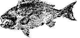 魚(yú)的水墨畫(huà)圖片