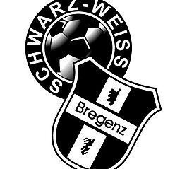 Casino SW Bregenz logo設(shè)計欣賞 IT高科技公司標(biāo)志 - Casino SW Bregenz下載標(biāo)志設(shè)計欣賞