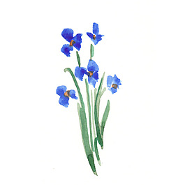 位圖 植物 寫意花卉 花朵 蘭花 免費(fèi)素材