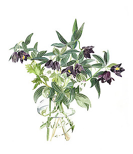 位圖 插畫 插畫師 柘植彩子 日本 免費素材