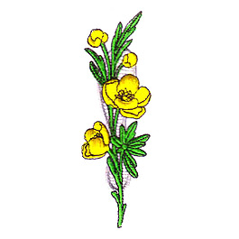繡花 植物 花朵 免費素材