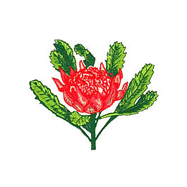 繡花 植物 花朵 免費(fèi)素材