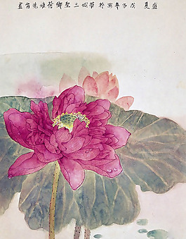 位圖 植物 葉子 花朵 荷花 免費(fèi)素材