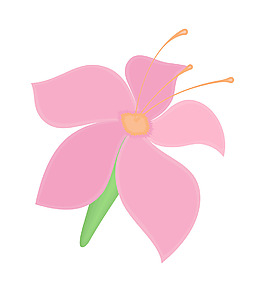 粉紅色的花的插圖