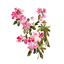 位圖 植物 寫(xiě)意花卉 花朵 免費(fèi)素材