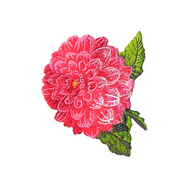 繡花 植物 花朵 免費素材
