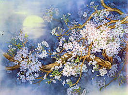 位圖 植物 樹枝 花朵 月亮 免費素材