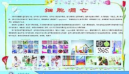 鹿泉市 學校 校標條 展板模板圖片