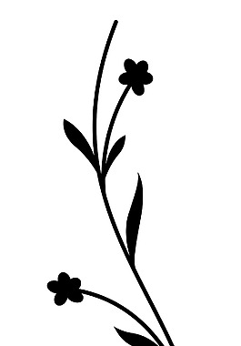 黑色的花形渦流