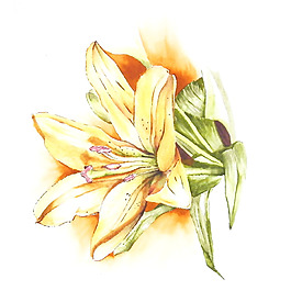 位圖 藝術(shù)效果 水彩 花卉 免費素材