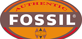 Fosil logo設計欣賞 Fosil標志設計欣賞