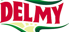 Delmy logo設(shè)計(jì)欣賞 Delmy標(biāo)志設(shè)計(jì)欣賞