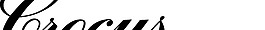 Crocus logo設計欣賞 縕標志設計欣賞