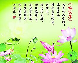 女冠子圖片